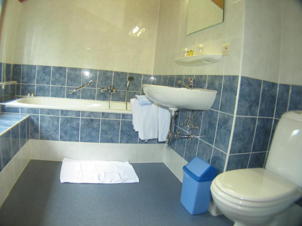 Hotel Aux Massotais Petites Tailles Номер фото