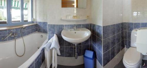 Hotel Aux Massotais Petites Tailles Номер фото
